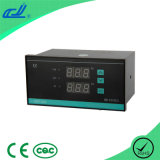 Temperature and Time Controller (XMT-618T)
