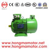 Hmvp Frequency Inverter Speed Control, Asynchronous Induction Motor Hmvp561-2p-0.09kw