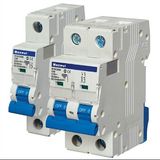 Maxwel 2p Mini Circuit Breaker (CDSB1)