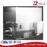 High Voltage High Output Three Phase Asynchronous Induction Motor