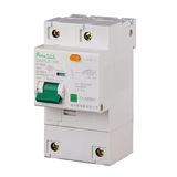 Miniature Circuit Breaker (DZ47LE-100)