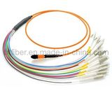 MTP / MPO OM1 Multimode Fiber Optic Patch Cord