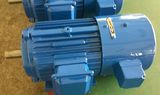 1HP-270HP Tefc IP54 Adjust Speed Inverter Duty Motor