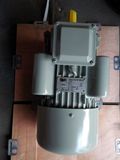 Yc/Ycl Heavy Duty Series Single-Phase Capacitor Start Asynchronous Motor