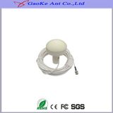 Low Price High Gain GPS External Active Antenna for Car Use GPS Auto Antenna