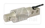 Bending Beam Load Cell (CZL810)