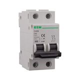 Miniature Circuit Breaker Circuit Breaker MCB Dz47-63-II 2p