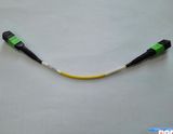MTP-MTP Sm Fiber Optic Patch-Cord