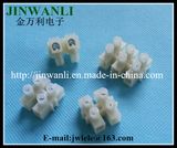 10A 2 Way Plastic Terminal Block Connector