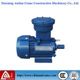 The Metallurgy Used Explosion-Proof Electric Three Phase AC Motor