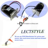 350W 24V 180rpm Dclake Mower Motor