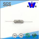 Coating Fusible Resistor Have UL Safe Certification