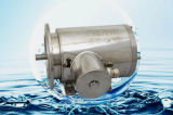 UL Approved High Efficiency Ie3 Asynchronous Induction AC Motor
