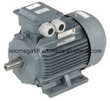Industry Electric Motor Y Y2 Series 0.75kw-280kw