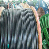 Swa/Sta Armoured PVC Cable