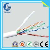 Network Cable (CH40143)