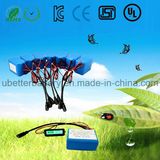 Manufactory 11.1V 3s2p 5600mAh Lithium Ion Battery for E-Bike