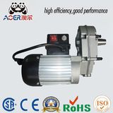 Single Phase 230volt Low Rpm AC Small Gear Electric Motors