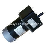 Pm DC Spur Gear Motor for 83zyt125-2420