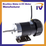 24V-36V 20W-60W Pm Brushless DC Motor for Pump Driver