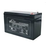 Mf VRLA AGM Battery Rechargeable UPS Battery (LP12-9.0)