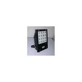 Ejaculatory Lamp