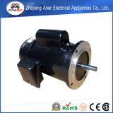 Single Phase AC Low Speed Small Induction Motors