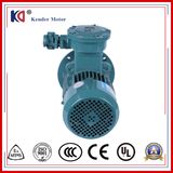 Little Vibration Anti-Explosion Phase AC Motor for Crane