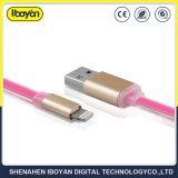 Customized USB Data Lightning Cable Apple Phone Chargers