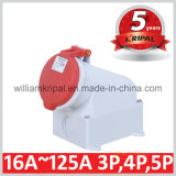IP44 32A 3p+N+E Electric Socket