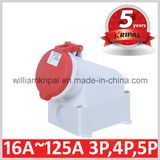 IP44 32A 3p+N+E Electric Socket