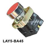 Flush Spring Return Pushbutton Switch