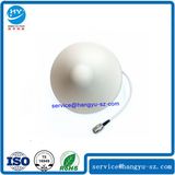 Indoor Covered and Broadband Antenna N-K Connector
