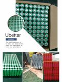 48V 20ah Lithium-Ion Battery Pack LiFePO4 Battery for E-Vehicle Battery
