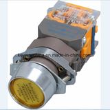 Illuminated Keyway Push Button Switch with Ce/CB/CCC