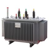 Power Distribution Transformer 20kv 315kVA Oil Immersed Power Electrical Transformer