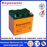 24V Deep Cycle Battery 12V 24ah Battery Deep Cycle Lithium Battery