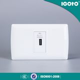 L105u American Standard USB Plug Charger