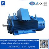 Three Phase Induction Speed Variable 600V AC Motor