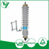 Hangzhou Gapless Type Zinc Oxide Lightning Protection Arrester 30kv