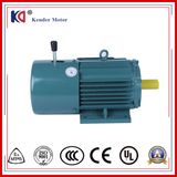 Yej Series 380V 5.5kw AC Three-Phase Asynchronous Motor