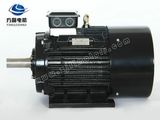 Yx3 Three Phase Cr800 Asynchronous Induction Motor
