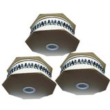 Aluminum Electrolytic Capacitor Axial Type (Ammo)