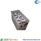 OEM Lithium Ion LiFePO4 Battery Pack 12V 100ah