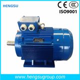 Ye3 75kw-6p Three-Phase AC Asynchronous Squirrel-Cage Induction Electric Motor for Water Pump, Air Compressor