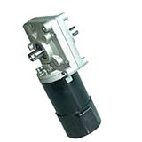 DC Worm Gear Motor (73ZYJ-WF)