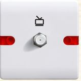 British Standard Satellite Socket Flat F