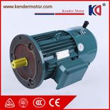 Brake Induction AC Motor for Food Processing Machinery