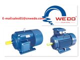 Y3 Series High Efficiency Three-Phase Asynchronous Motor