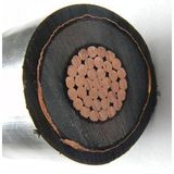 ASTM Standard Power Cable